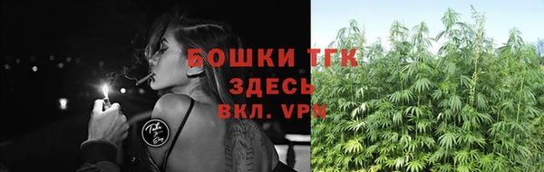 ПСИЛОЦИБИНОВЫЕ ГРИБЫ Бородино