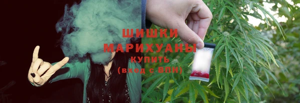 ПСИЛОЦИБИНОВЫЕ ГРИБЫ Бородино