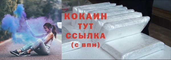 ПСИЛОЦИБИНОВЫЕ ГРИБЫ Бородино