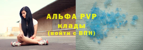 ПСИЛОЦИБИНОВЫЕ ГРИБЫ Бородино