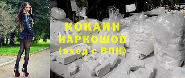ПСИЛОЦИБИНОВЫЕ ГРИБЫ Бородино